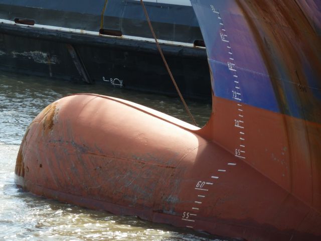 Bulbe MN Pelican - 24 avril 2012 (04).JPG